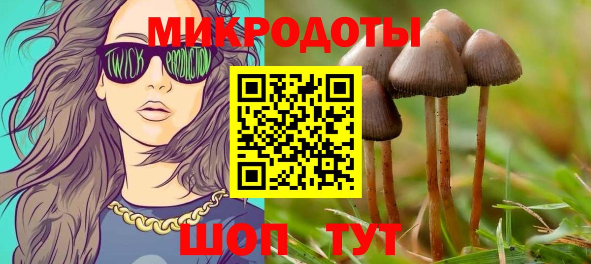 Галлюциногенные грибы GOLDEN TEACHER Знаменск